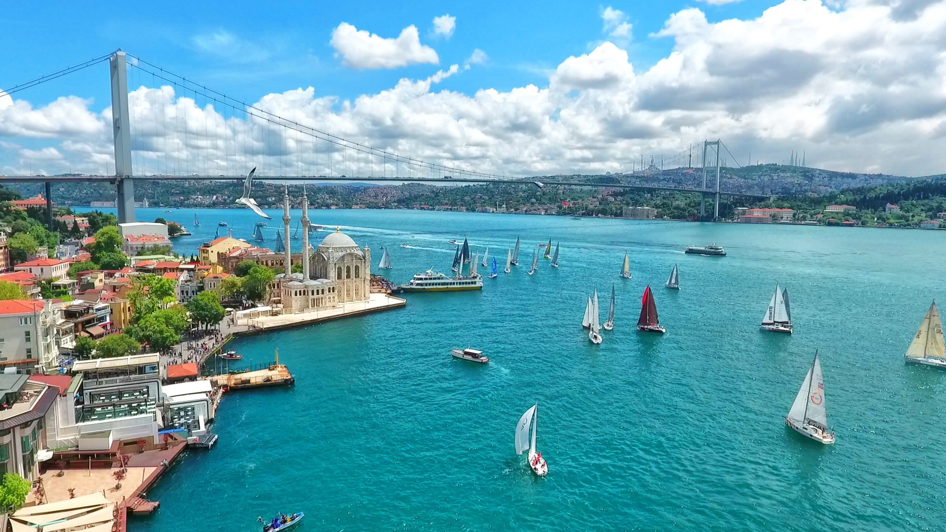 Bosphorus Cruise & City Lights Tour