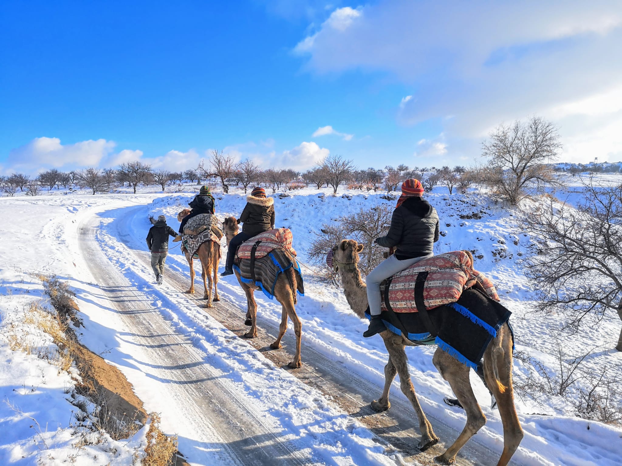 Camel Ride In Cappadocia's thumbnail