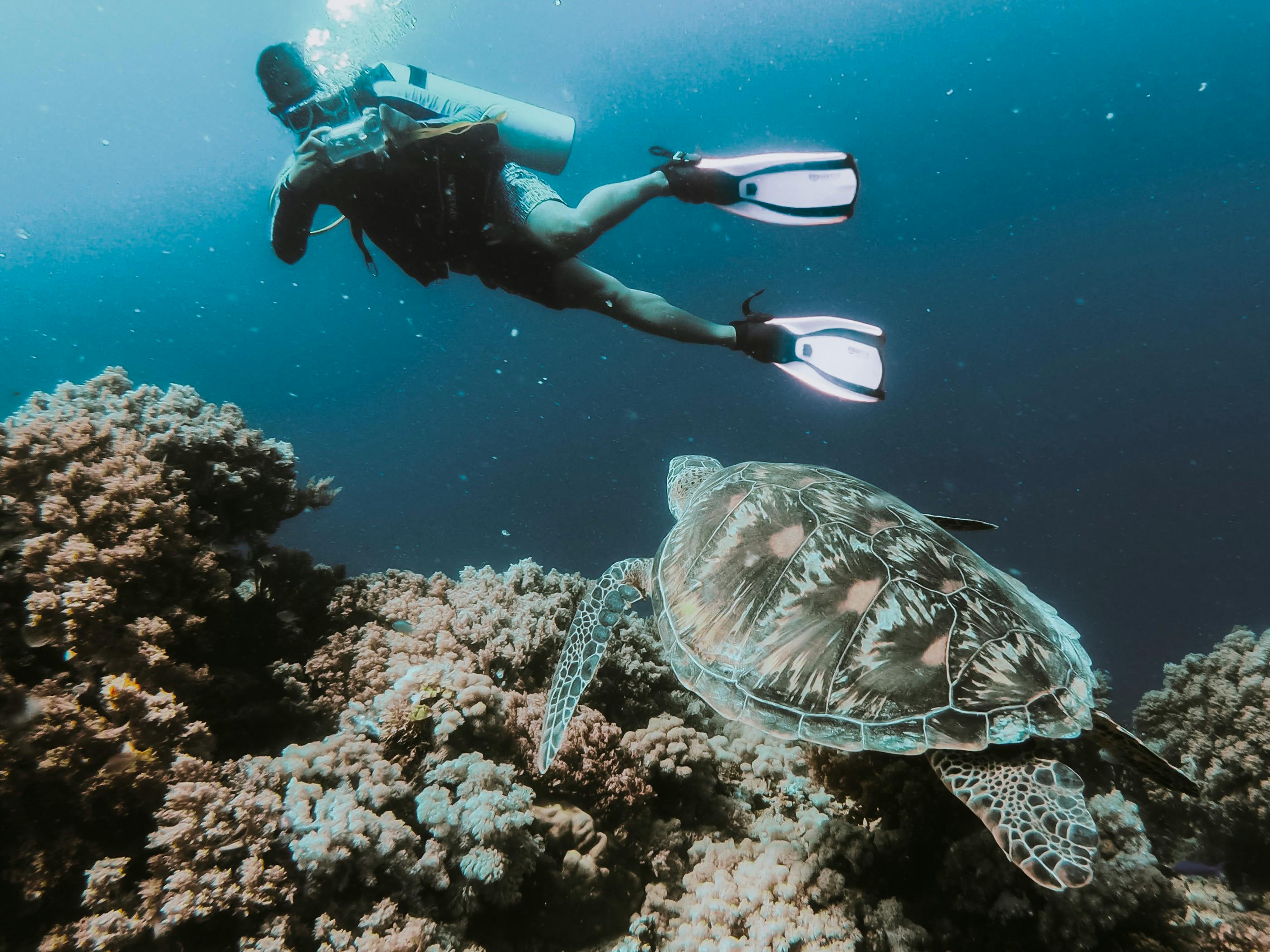 Fethiye Scuba Diving Tour